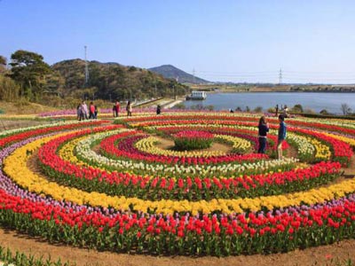 indira gandhi tulip garden 2 400 x 300
