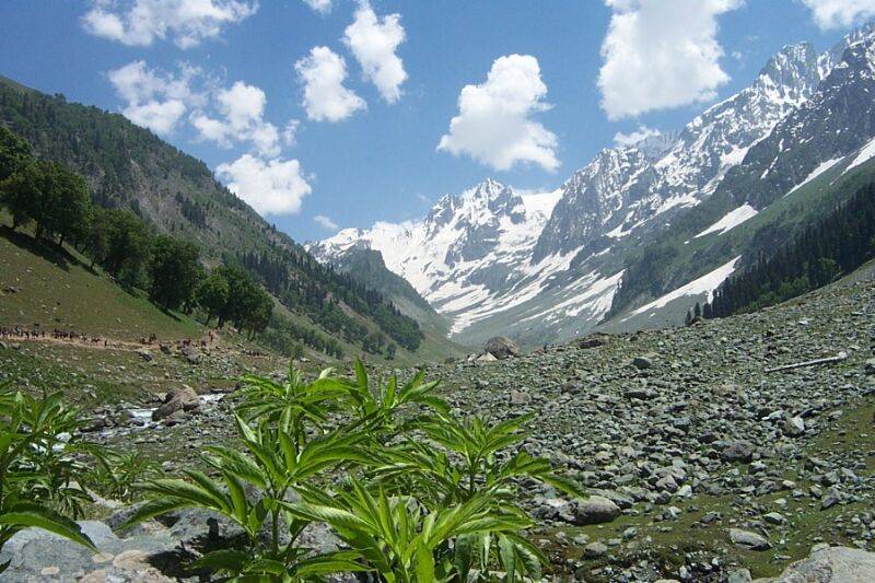 Scenic Lidder River flowing through Pahalgam valley surrounded by pine forests and mountains in Kashmir
