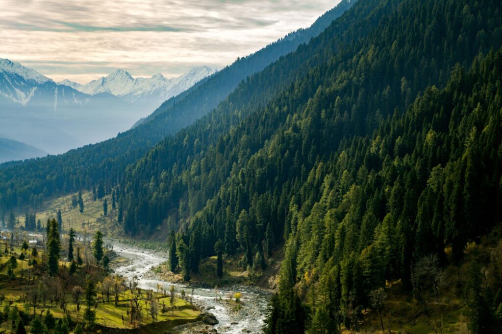 Beautiful Betaab Valley in Pahalgam Kashmir with lush green meadows and snow covered mountains.