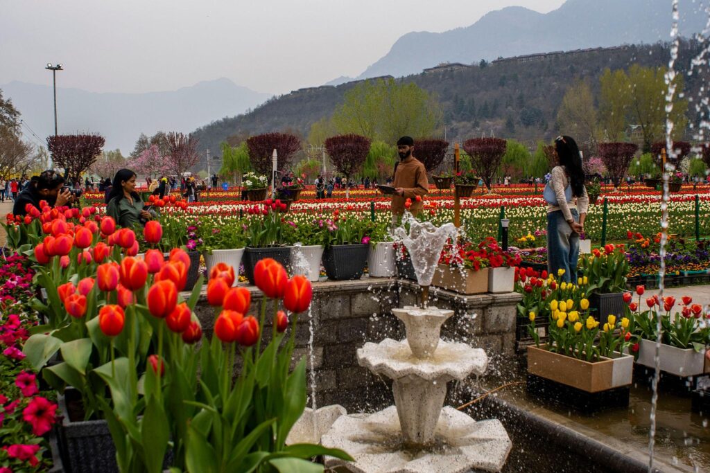 Srinagar sightseeing